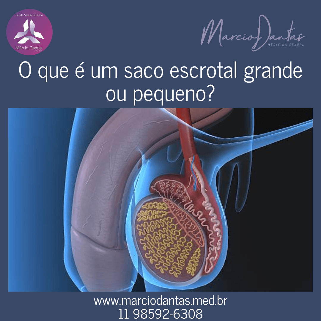 O que é um saco escrotal grande ou pequeno?