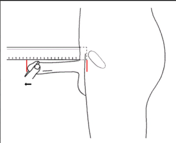 Imagem ilustrativa de um homem medindo o pênis 